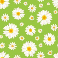 Seamless pattern with daisy flowers on green Vector illustration