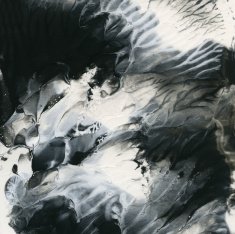 Abstract black and white background template