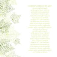 Vector background Green leaves with veins N2