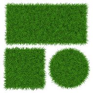 Green grass N17