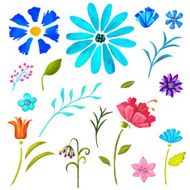 Hand painted floral watercolor set flowers and leaves N9