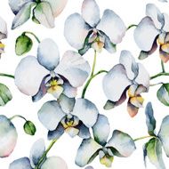 White orchids N2