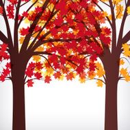 abstract background maple tree with branches N2