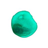 Emerald green watercolor circle