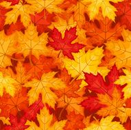 Seamless pattern with autumn maple leaves Vector illustration N10
