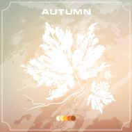 Autumn leaves Abstract background N5