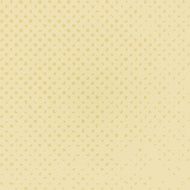 Vintage old beige background