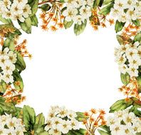 Watercolor blossom background