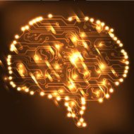 Circuit board computer brain Vector illustration N55