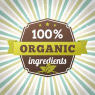 hundred percent organic ingredients eco label vector poster N2