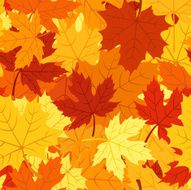Seamless pattern with autumn maple leaves Vector EPS 8 N3