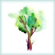 watercolor green tree N3