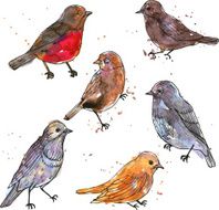 set of watercolor drawing birds
