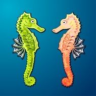 sea horses N2