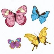 Butterfly icons N14