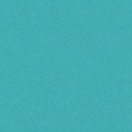 Paper texture background N31