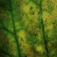 Abstract disco background with halftone N3