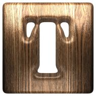 Vector wooden figure t