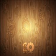 Vector wooden background Eps10 N6