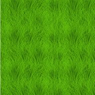 Vector grass background eps10 N2