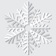 Snowflakes Vector illustration N15