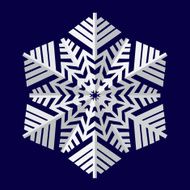 Snowflakes Vector illustration N16