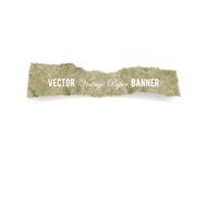 vector torn paper banner design