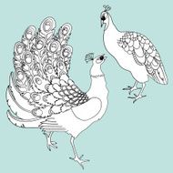 Two exotic birds