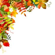 Watercolor Autumn Leaves Background N2