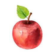 Watercolor apple N5