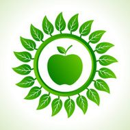 green apple organic food with leaf stock vector