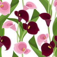 Seamless pattern with pink and purple calla lilies on white