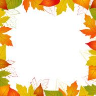 Fall vector leaf border N2