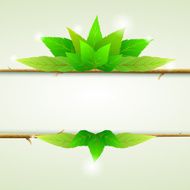 Green leaves ecology background N2