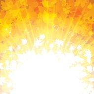 Autumn background with leaves N53