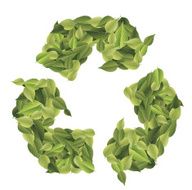 leaves recycle