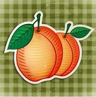 apricot sticker