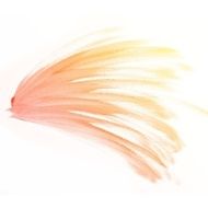 Colorful water color painting background N480
