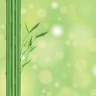 Summer floral background with bamboo stems and leaves N2