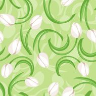 Seamless background with white tulips Vector illustration