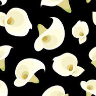 Seamless pattern with white calla lilies on black Vector illustration