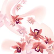 gentle floral wallpaper
