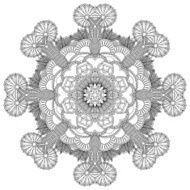 Circle ornament N49