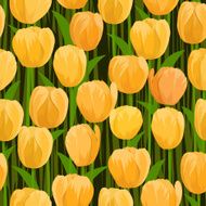 tulip flowers field seamless