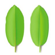 Banana Leaf N2