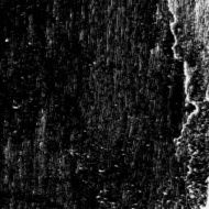 plaster05