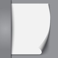 Empty paper sheet Vector N2