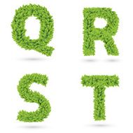 Letters of green leaves collection N3
