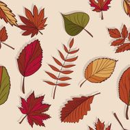 Pattern of autumn leaves forest trees N3