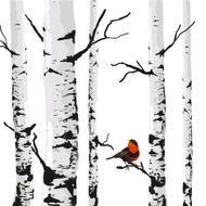 Bird of birches N2